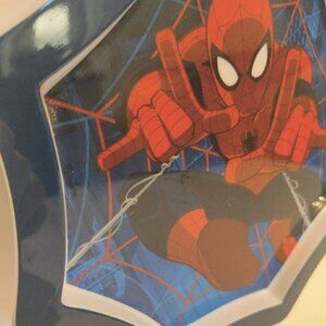 Very Rare Octagonal Spiderman Plastic Snack Plate 8.5"  Great color and graphics